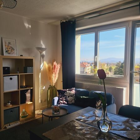 Studio Kaan Avec Terasse 5Mn Basel Airport Saint-Louis  Exterior foto