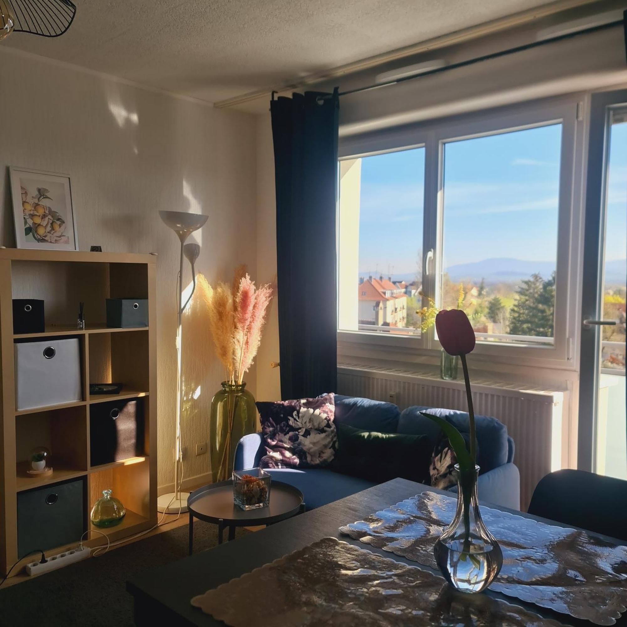 Studio Kaan Avec Terasse 5Mn Basel Airport Saint-Louis  Exterior foto